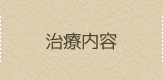 治療内容